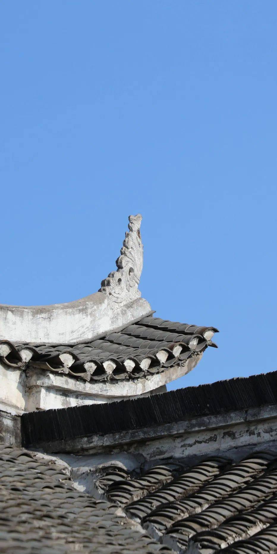 百年古建松鹤堂_江陵县_中医药_文化