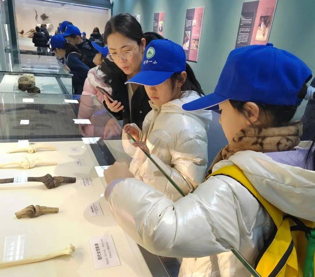 保护生物多样性——燕桥小学绿色小记者走进北京自然博物馆