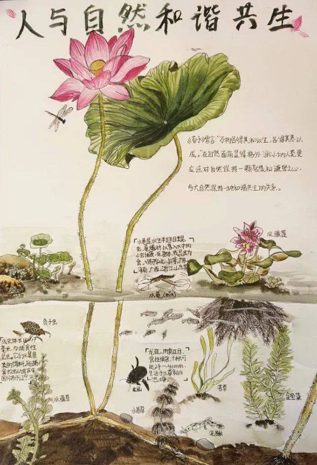 自然笔记 · 风景中国——第二届风景名胜区自然笔记大展征稿启事