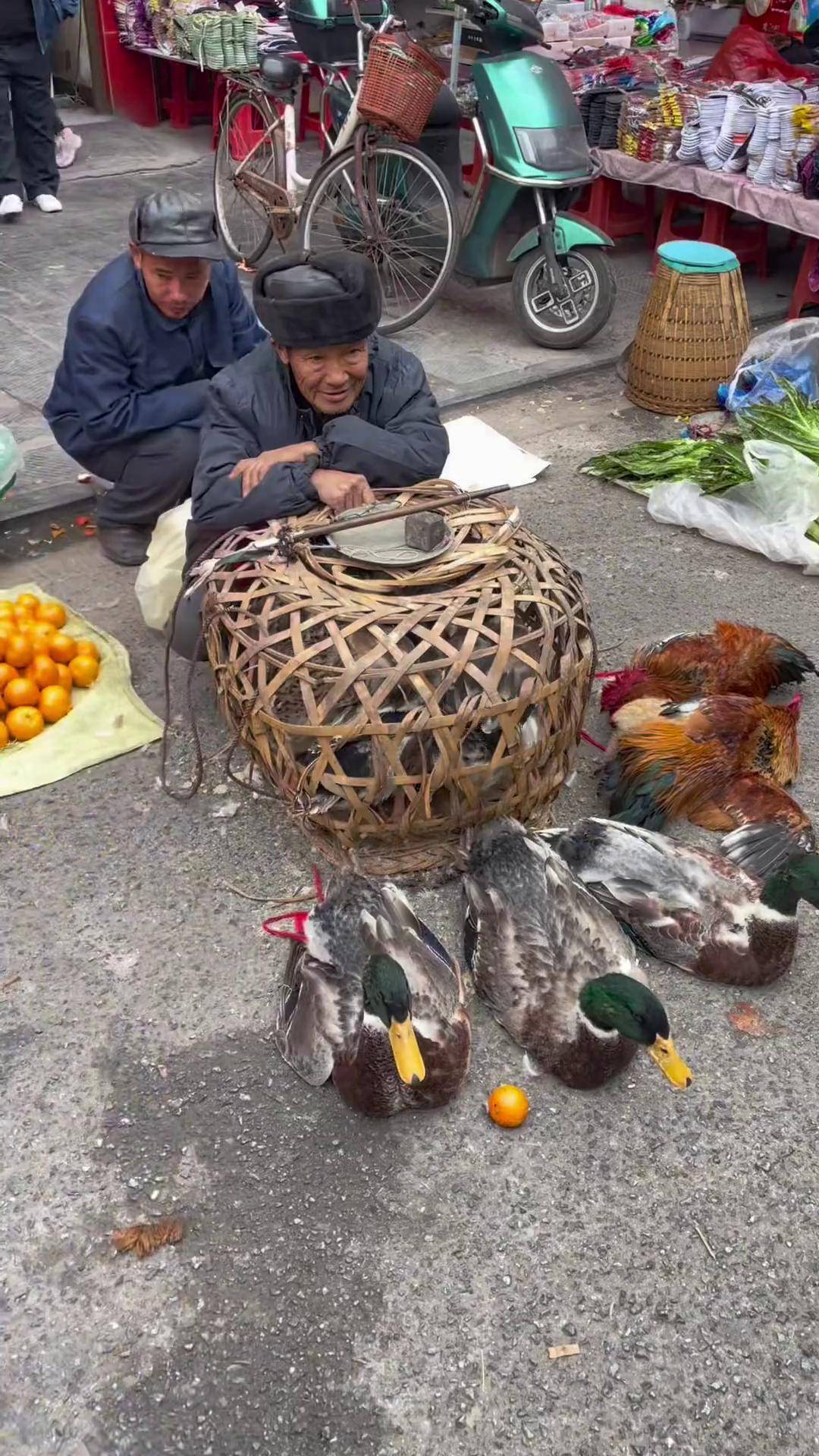 光友哥和爷爷赶集卖鸭子,带光友买了个生日蛋糕