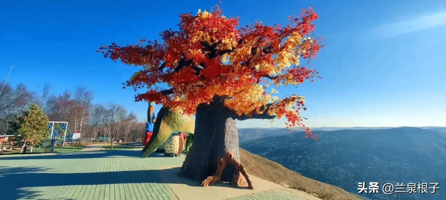 冬日的康乐白桦林景区,接纳着不少寻梦的人.