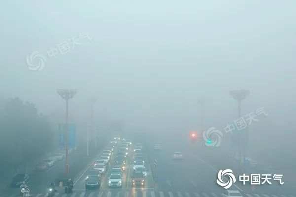 今冬来最强雾和霾未来五天难消,为何此次如此“顽固”?_天气_大雾_影响